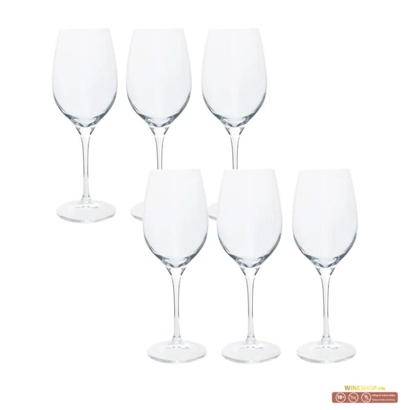 Bộ 6 ly rượu vang trắng Invino 380ml