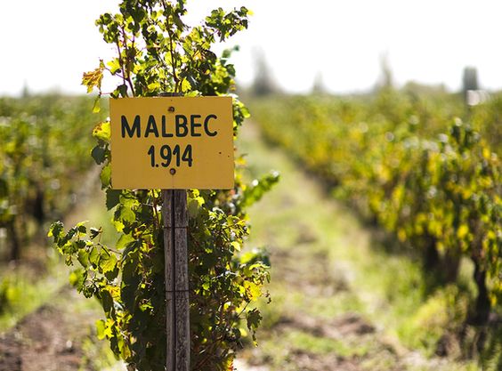 Ngày Malbec Thế Giới không chỉ là dịp để kỷ niệm và tôn vinh giống nho Malbec, mà còn là cơ hội để quảng bá và giới thiệu về loại rượu vang malbec đến với mọi người trên toàn thế giới. Việc quảng bá về rượu vang Malbec không chỉ giúp nâng cao nhận thức và kiến thức của người tiêu dùng về rượu vang, mà còn thúc đẩy sự phát triển của ngành công nghiệp rượu vang và tạo ra cơ hội kinh doanh cho các nhà sản xuất và nhà phân phối.