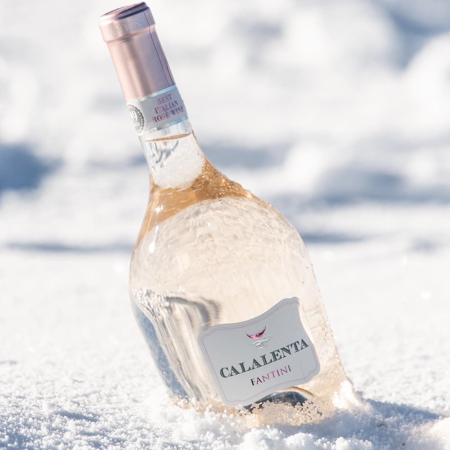Rượu vang hồng Fantini Calalenta Rosato Merlot sở hữu màu hồng đào phơn phớt như buổi bình minh, mang đến một cảm giác tươi mới, tràn đầy sức sống.