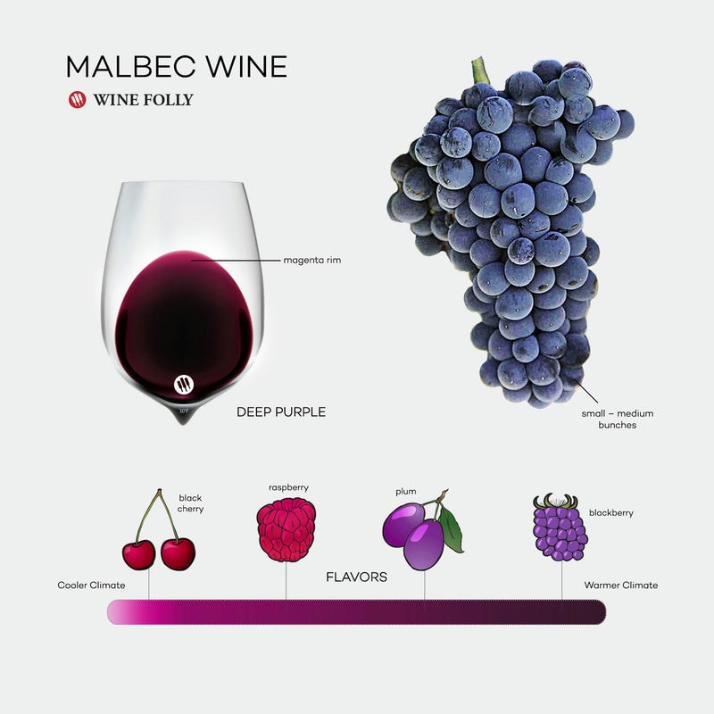 Nho Malbec có hương vị rất phong phú. Hương vị của trái nho chịu ảnh hưởng phần lớn của độ cao nơi trồng nho. Ngoài ra còn có một số yếu tố khác như lượng ánh mặt trời mà nho tiếp nhận được, nhiệt độ, độ ẩm,… Rượu vang làm từ giống nho này có hương vị thay đổi theo độ tuổi. Sự khác nhau giữa hương vị rượu già và trẻ rất lớn.
