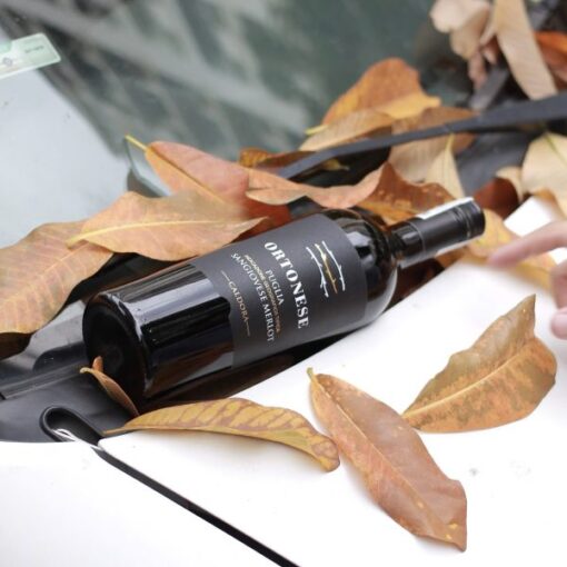 Caldora Ortonese Sangiovese Merlot Puglia IGP