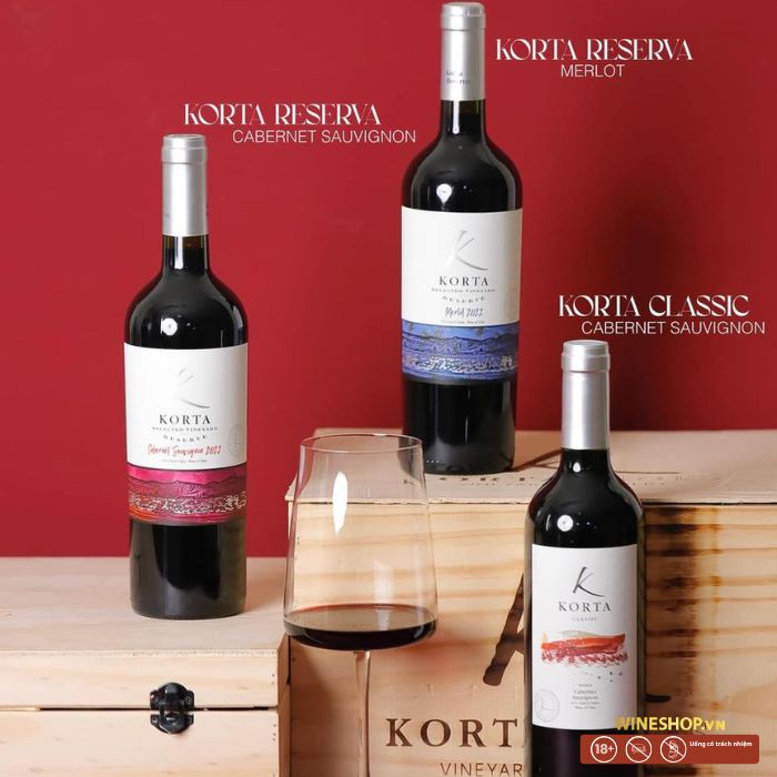 Rượu Vang Đỏ Chile Loại Nào Ngon