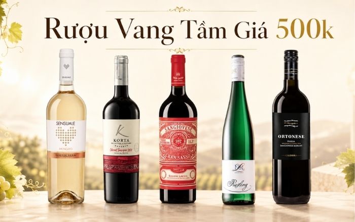 Rượu Vang Giá 300k–500k
